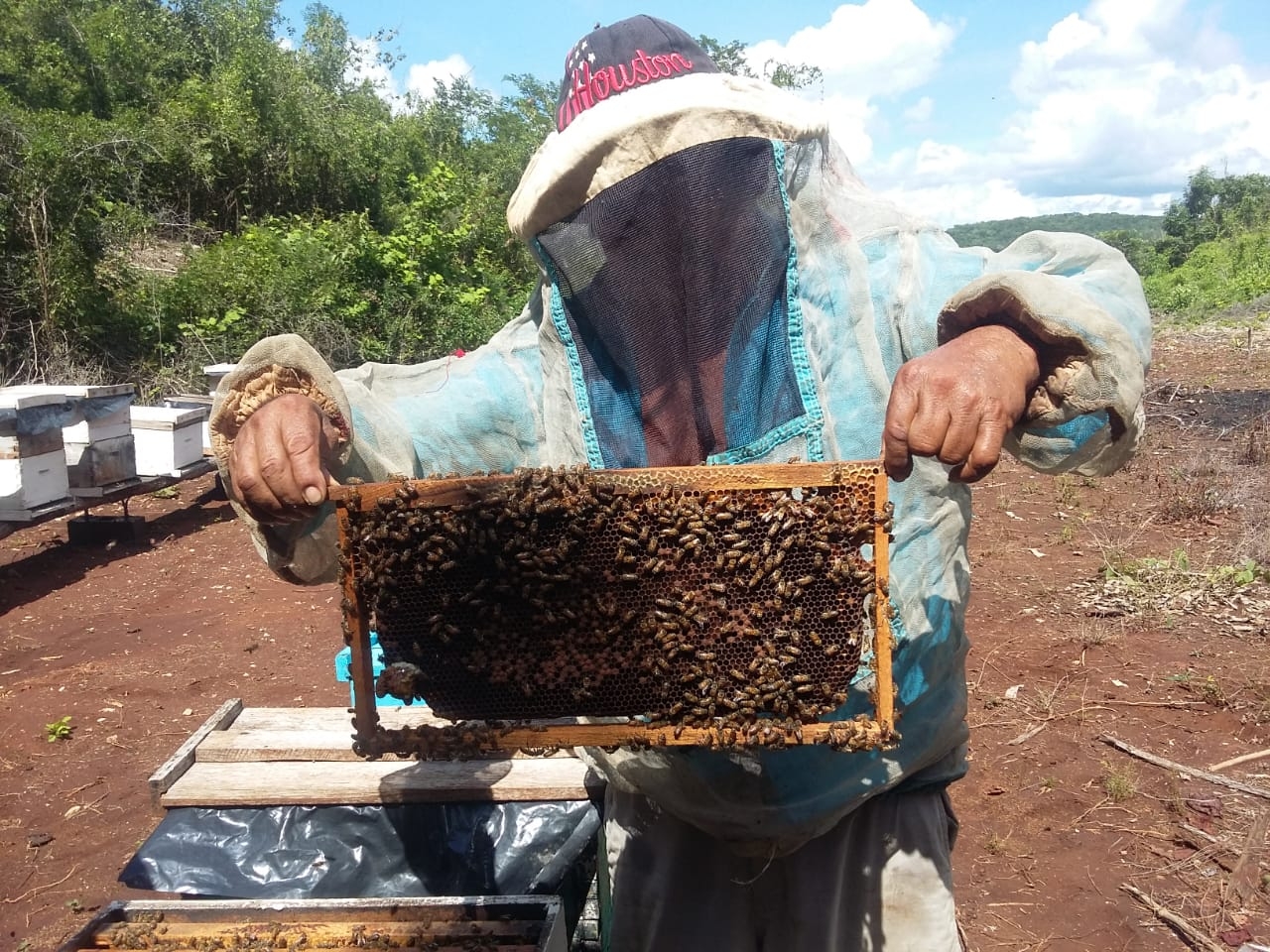Se han conjuntado diversas problemáticas como las granjas porcícolas y la agroindustria en Hopelchén Se han conjuntado diversas problemáticas como las granjas porcícolas y la agroindustria en Hopelchén