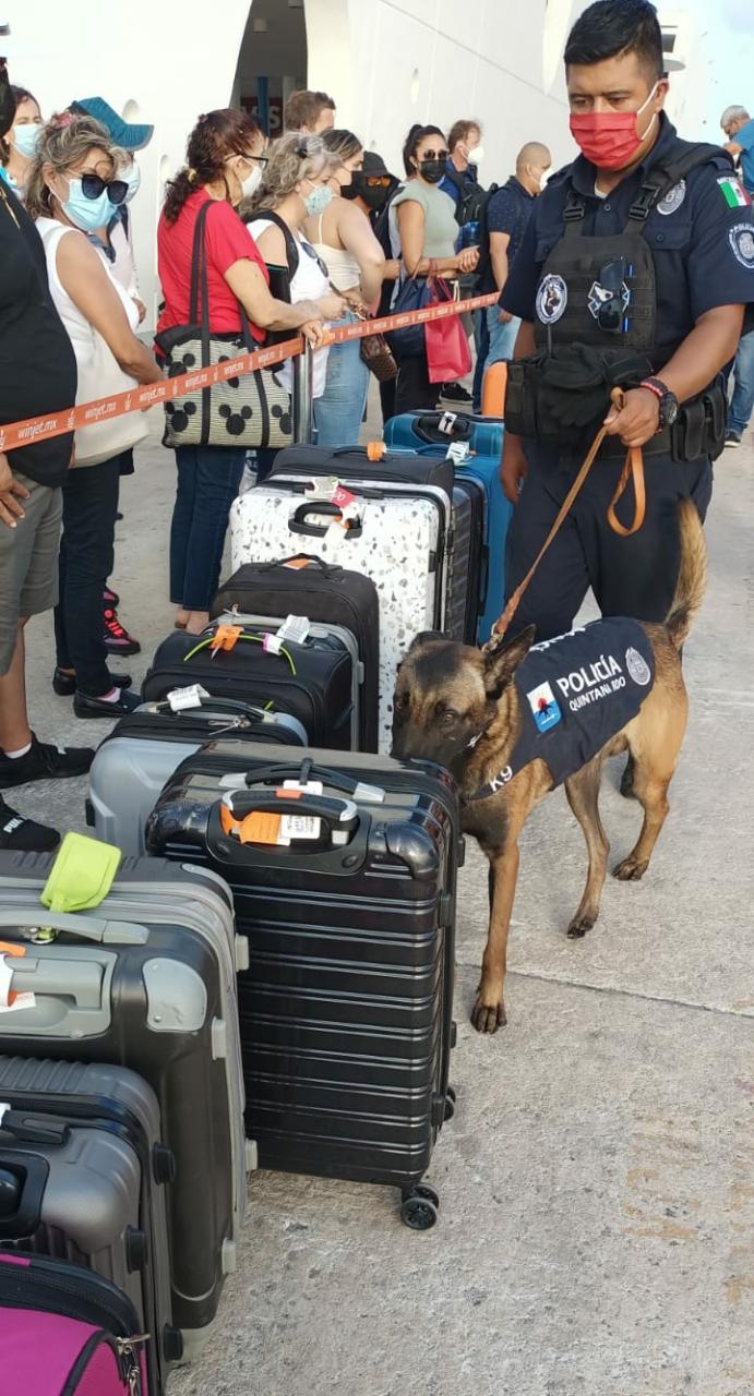 Dicho operativo se llevará a cabo de forma aleatoria en ese recinto portuario