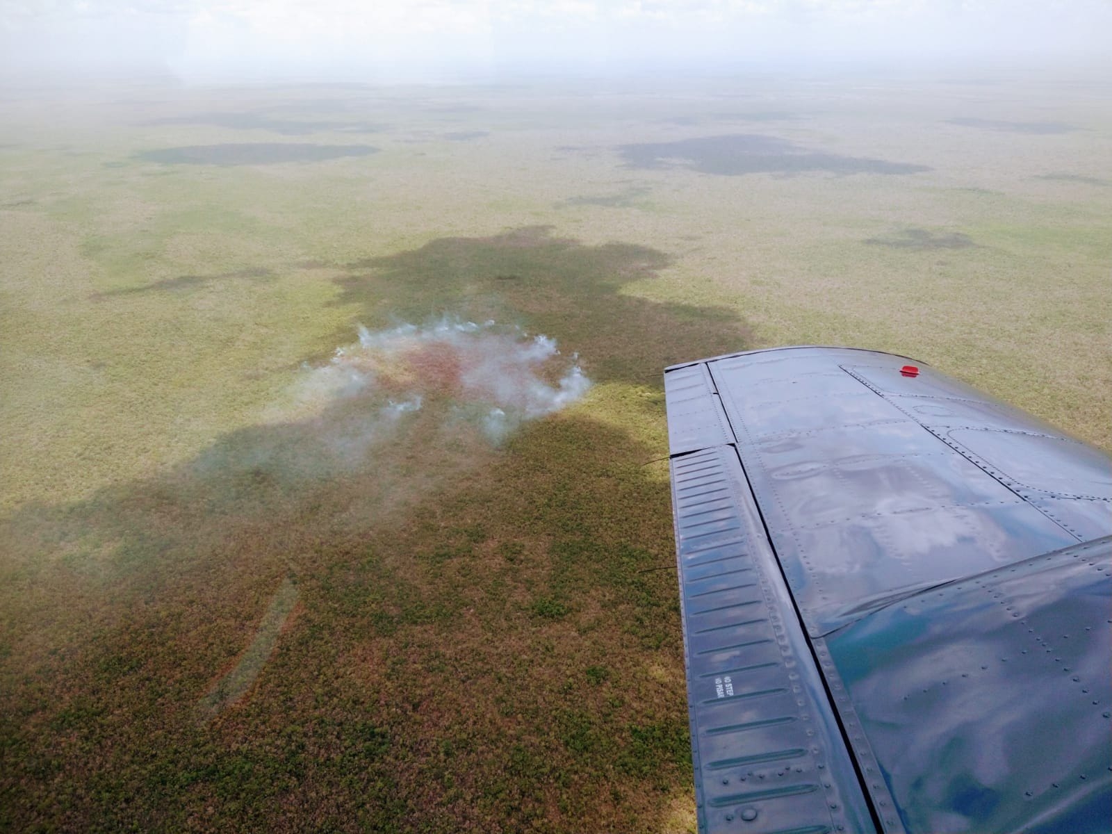 Autoridades mantienen monitoreo del incendio Autoridades mantienen monitoreo del incendio