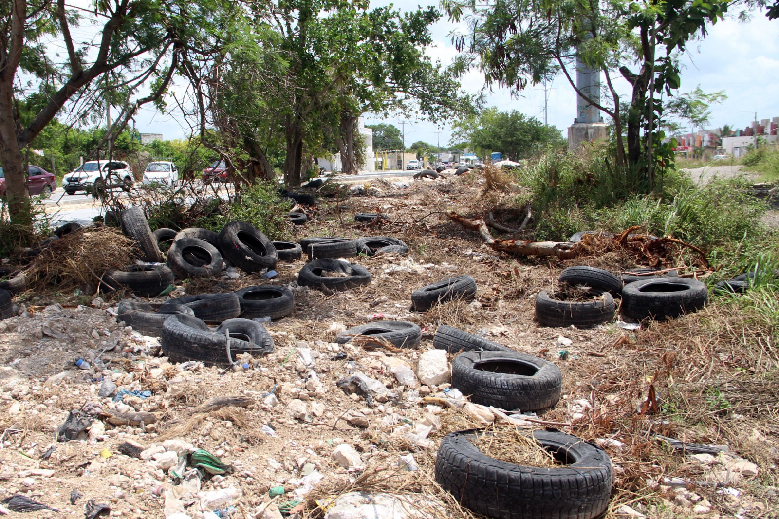 La avenida se convirtió en un depósito de llantas viejas La avenida se convirtió en un depósito de llantas viejas