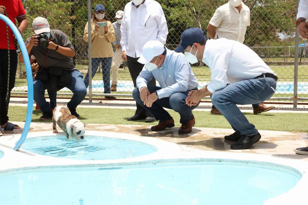 Mauricio Vila anuncia la creación de la Unidad Especializada en el Combate al Maltrato de los Animales Domésticos Mauricio Vila anuncia la creación de la Unidad Especializada en el Combate al Maltrato de los Animales Domésticos