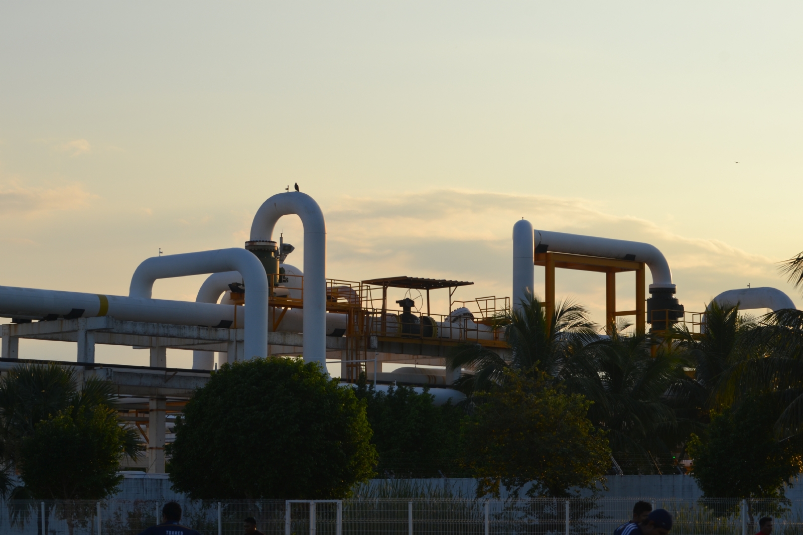Habitantes de Atasta viven en psicosis por el peligro que representa el Centro de Proceso y Transporte de Gas de Atasta (CPTG) Habitantes de Atasta viven en psicosis por el peligro que representa el Centro de Proceso y Transporte de Gas de Atasta (CPTG)