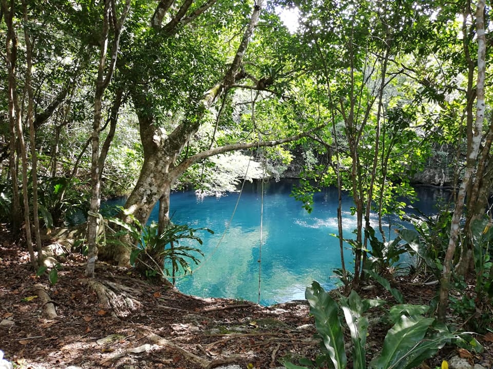 Dentro de este cenote, se esconde una belleza submarina