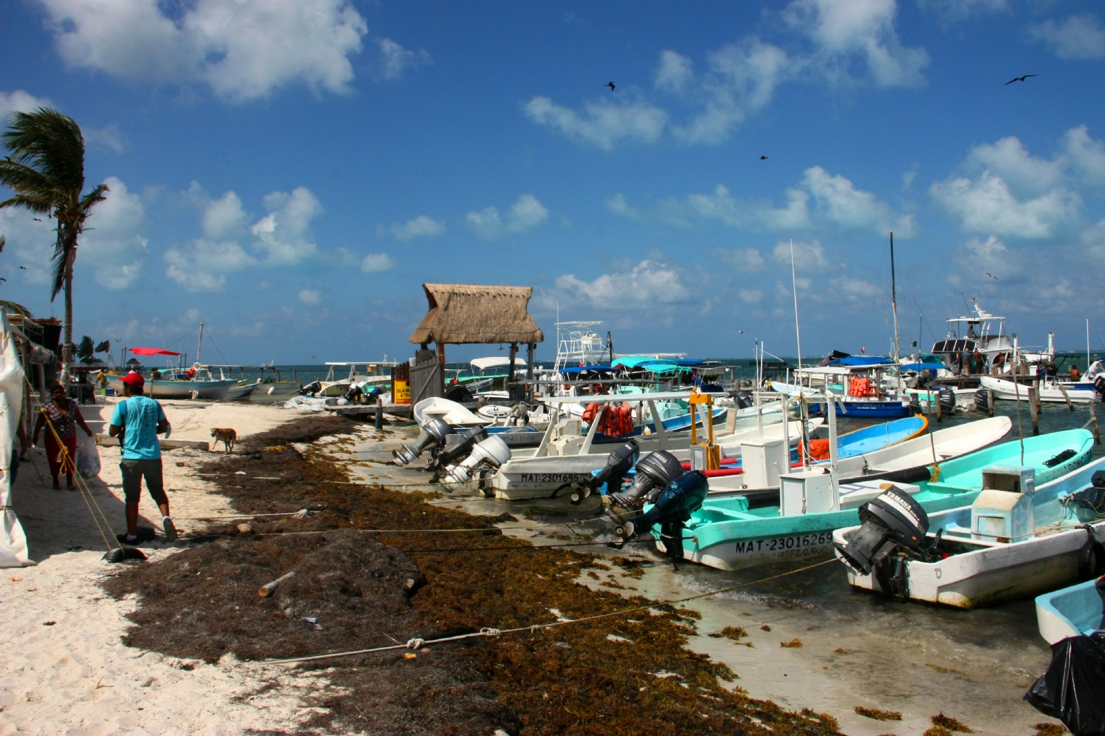 Los pescadores tienen que elegir entre comprar comida o combustible para salir al mar Los pescadores tienen que elegir entre comprar comida o combustible para salir al mar