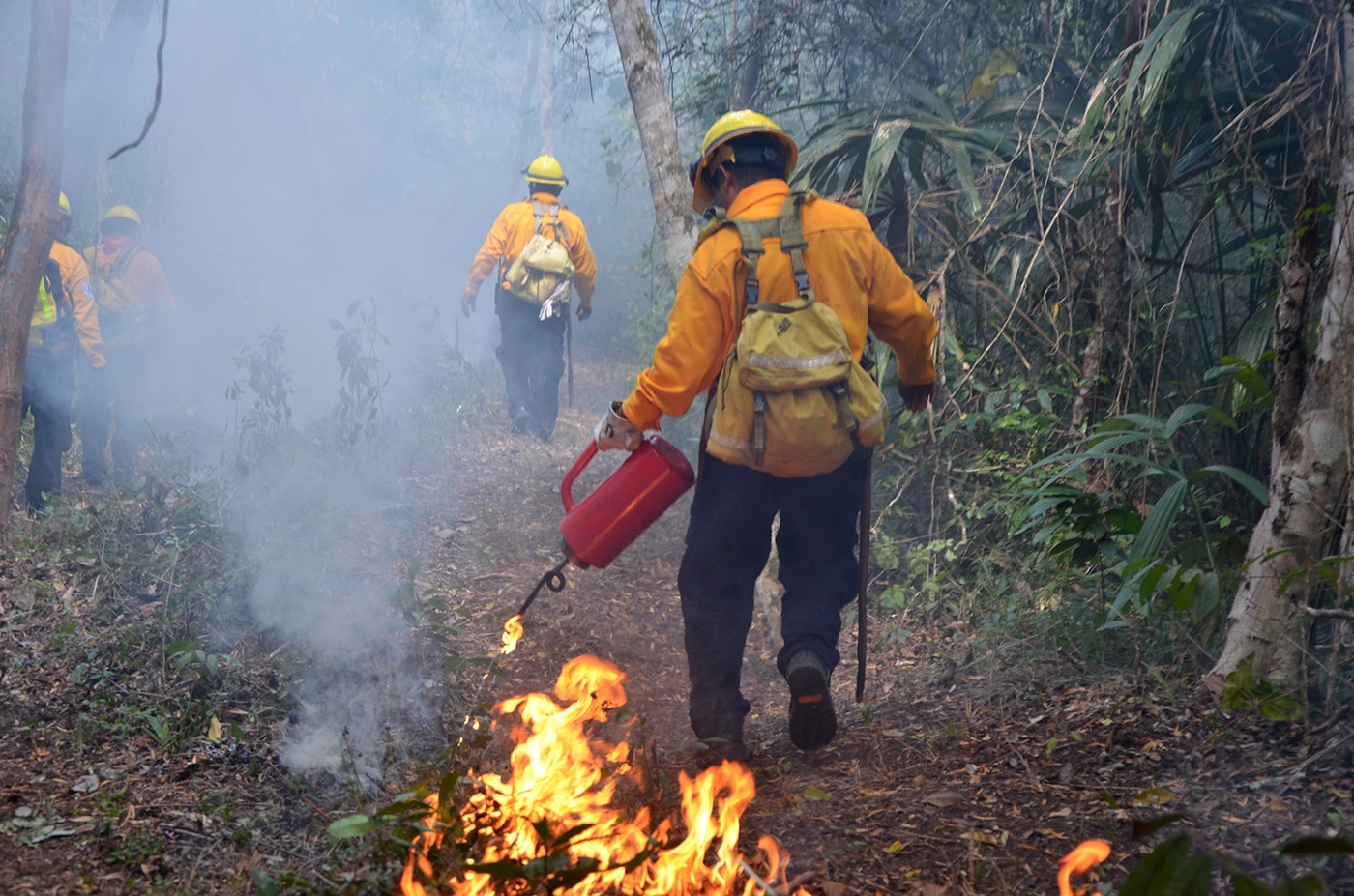 Hasta el momento, 11 incendios han sido controlados