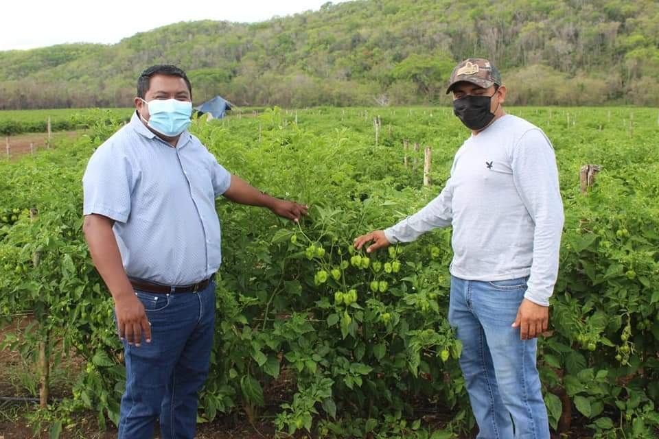 Raul Romero brindará más  programas y créditos a productores
