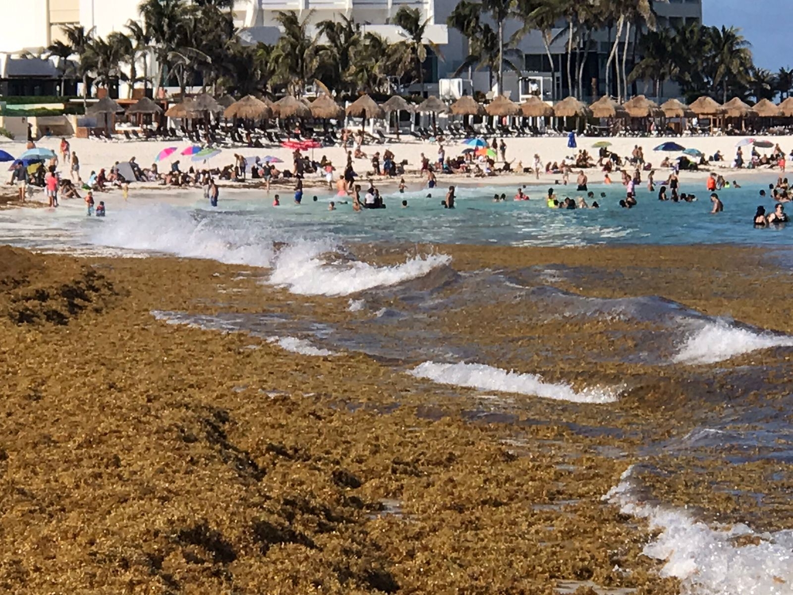 Playa Gaviotas, Cancún.
