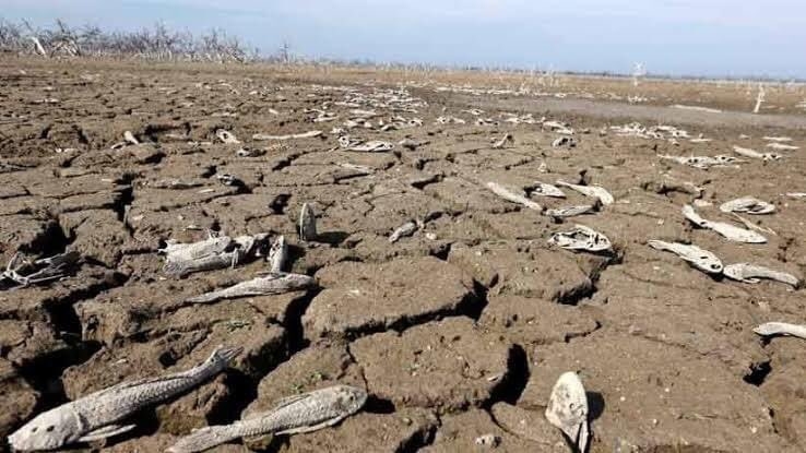 La sequía ha estado presente en varias zonas de la República Mexicana La sequía ha estado presente en varias zonas de la República Mexicana
