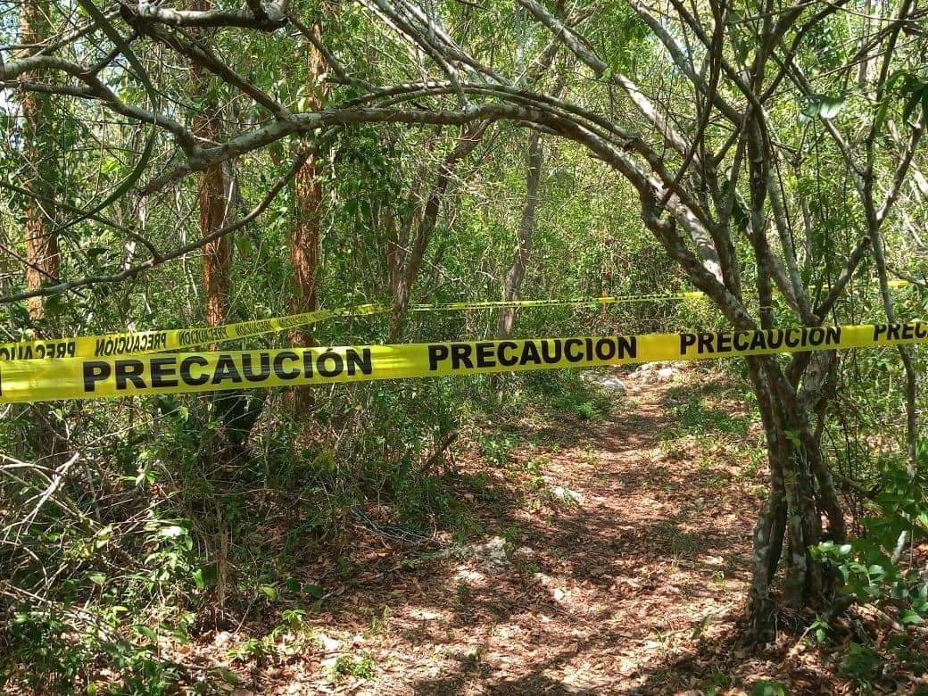 Joven se suicida en la rama de un árbol en Chemax, Valladolid