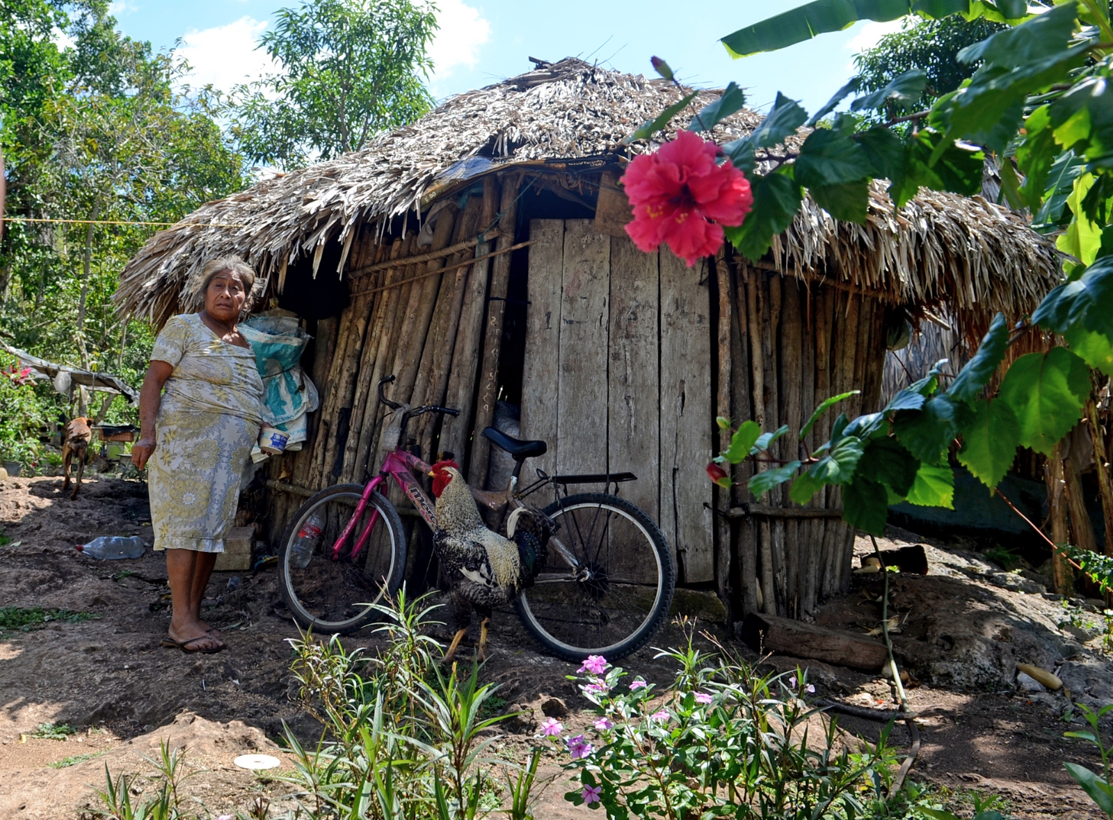 Cinco Ayuntamientos de Quintana Roo registraron un incremento de la población en pobreza alimentaria, según el Coneval