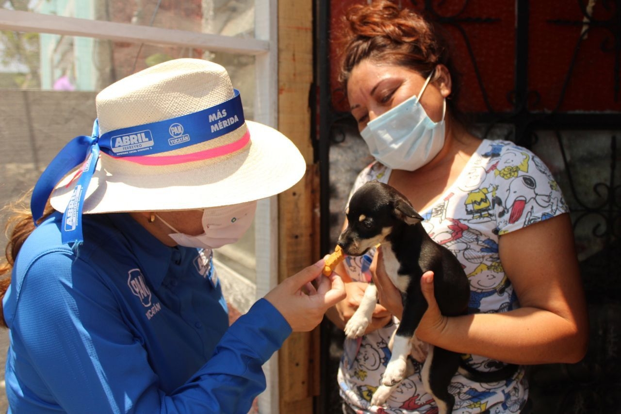 Abril Ferreyro legislará derechos de los animales