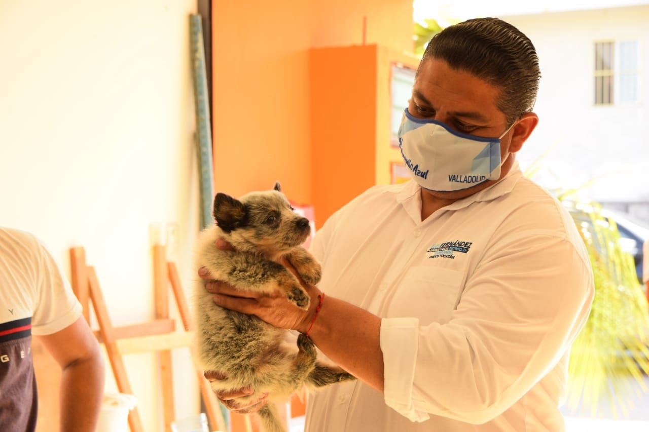 El candidato Luis Fernández creará espacios para los animalitos en situación de calle
