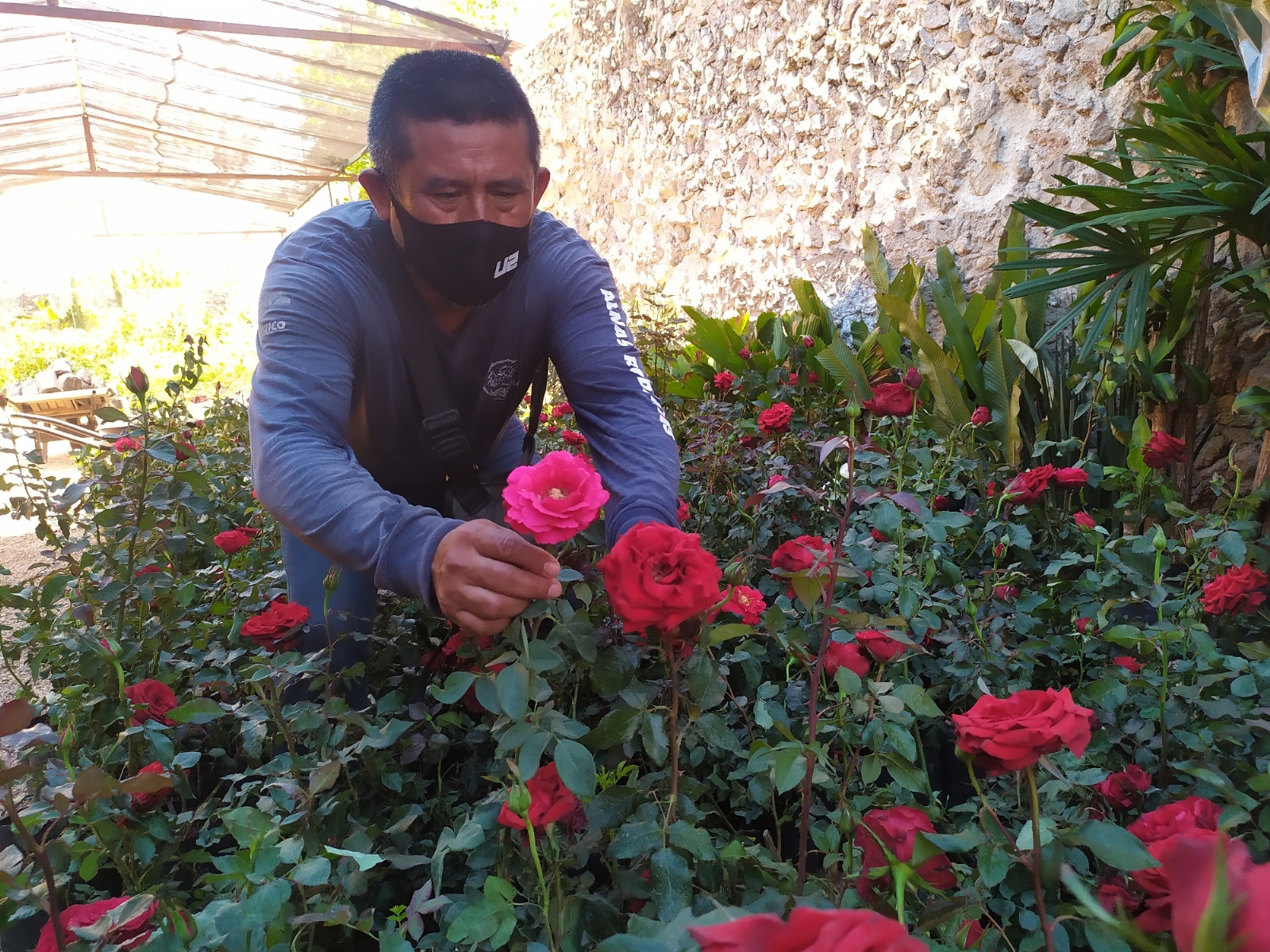 Esperan tener buenas ventas durante el Día de las Madres Esperan tener buenas ventas durante el Día de las Madres