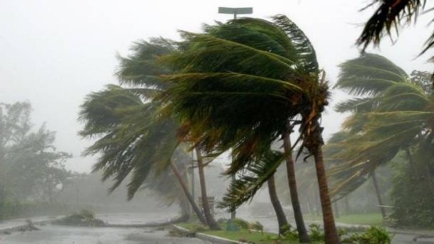 'Elsa' evolucionó a huracán categoría uno, a 24 horas de haberse convertido en Tormenta Tropical en el Océano Atlántico 'Elsa' evolucionó a huracán categoría uno, a 24 horas de haberse convertido en Tormenta Tropical en el Océano Atlántico