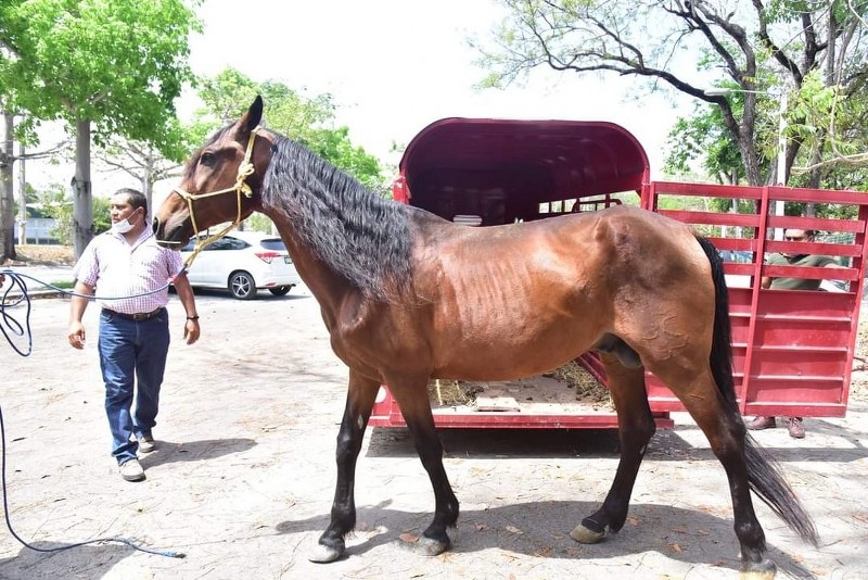 Jardín Zoológico Payo Obispo en Chetumal