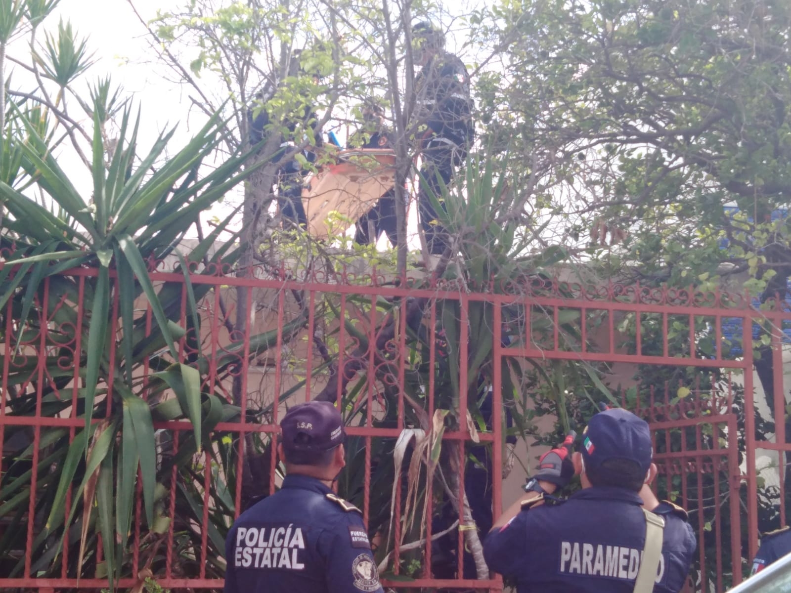 El hombre no pudo bajar por su cuenta El hombre no pudo bajar por su cuenta