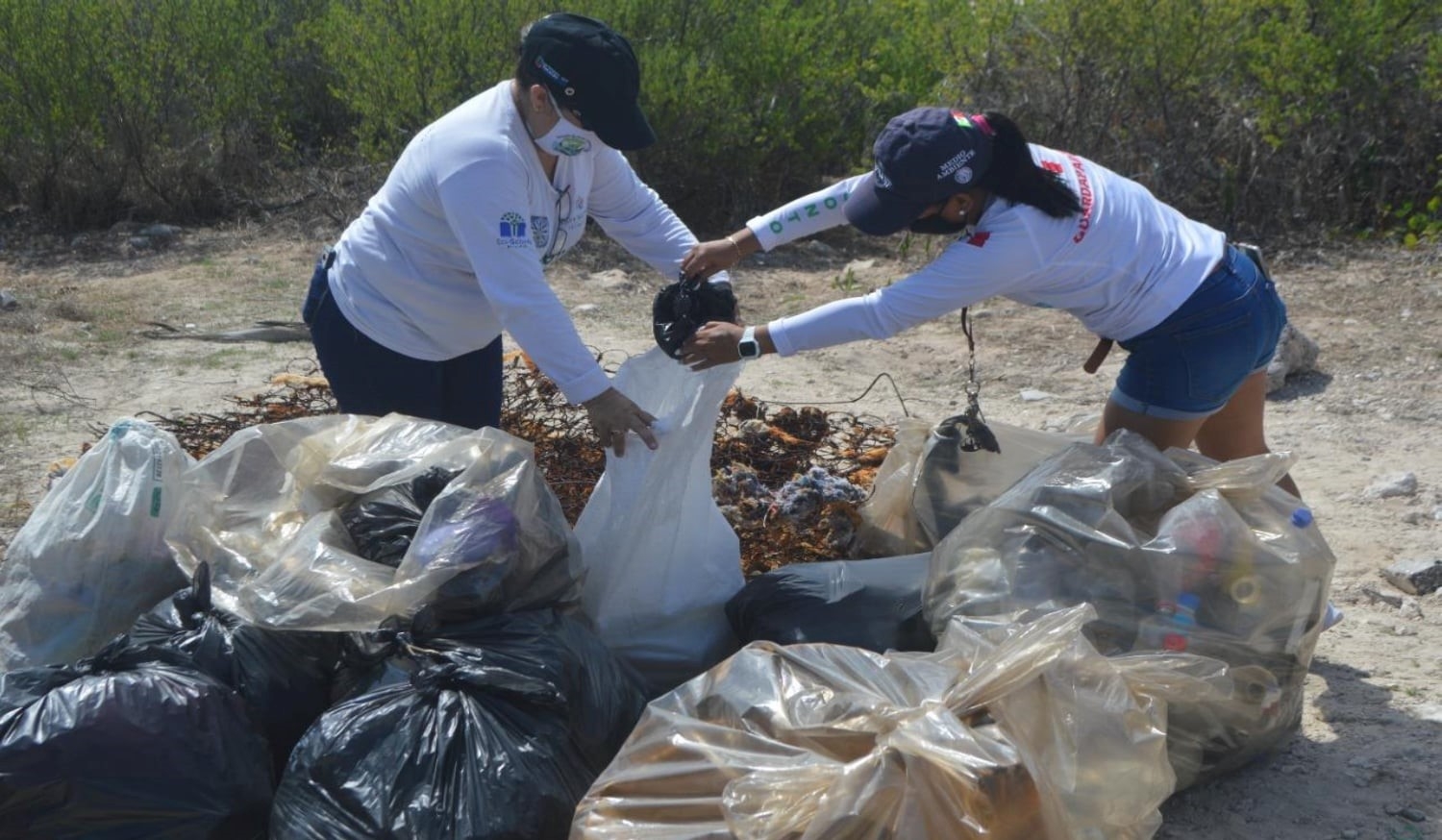 Voluntarios hicieron una campaña de limpieza, en el marco del Día Mundial de los Océanos Voluntarios hicieron una campaña de limpieza, en el marco del Día Mundial de los Océanos