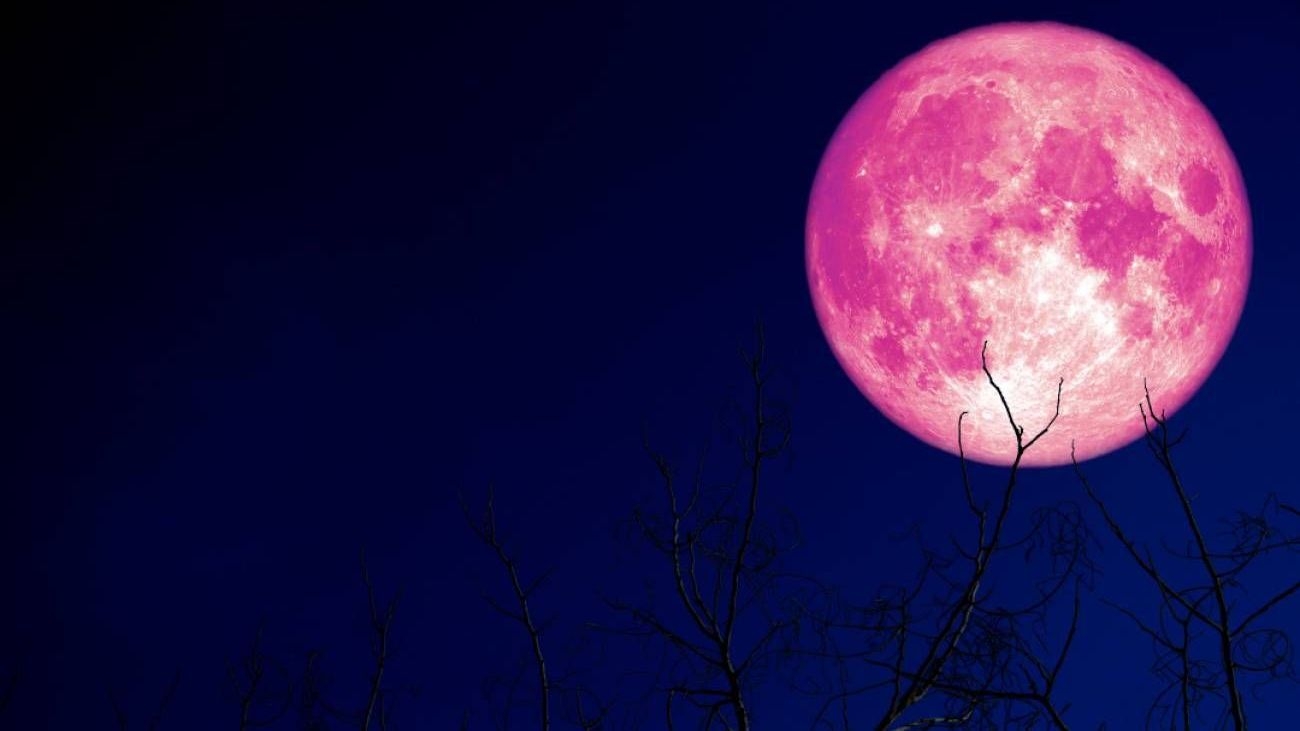 La Luna de fresa de 2021 estará ubicada a distancia geocéntrica de 361 mil 536 km