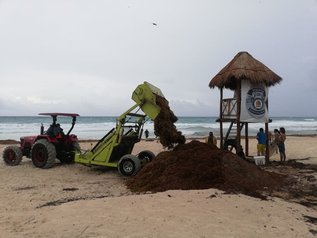 Los hoteleros son quienes se encargan de gestionar la remoción del sargazo de algunas playas