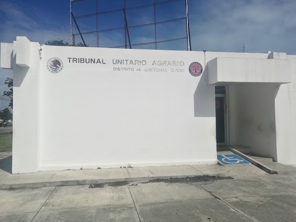 Ejidataria denuncia ante el Tribunal Unitario Agrario para defender su predio