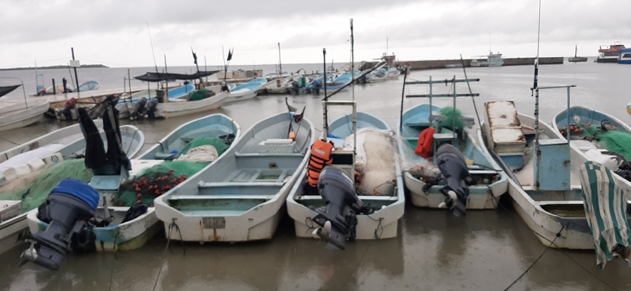 Las embarcaciones permanecieron atracadas durante las lluvias, por lo que pescadores no pudieron trabajar Las embarcaciones permanecieron atracadas durante las lluvias, por lo que pescadores no pudieron trabajar