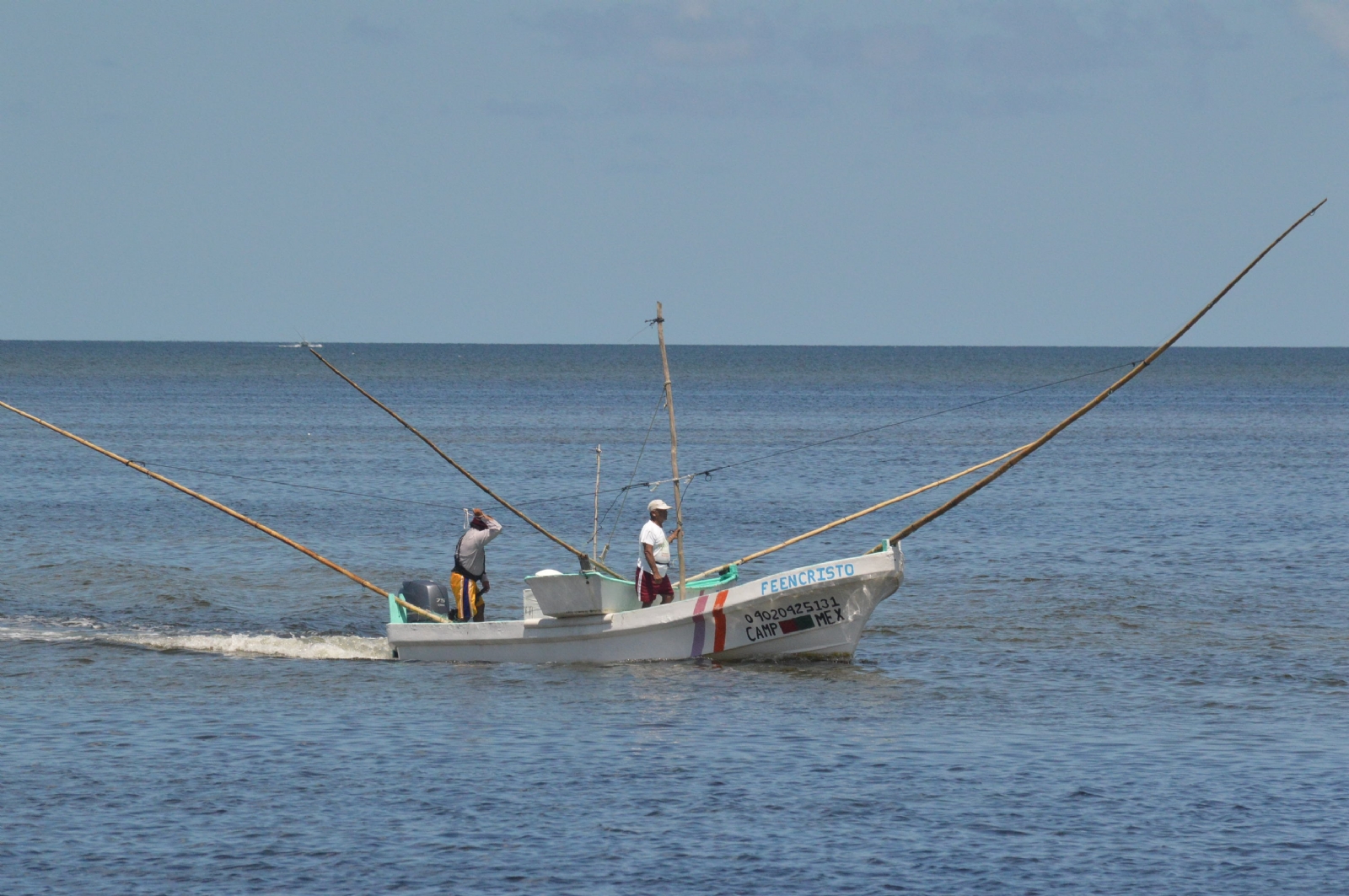 Pescadores piden ampliar la temporada de pulpo en Campeche