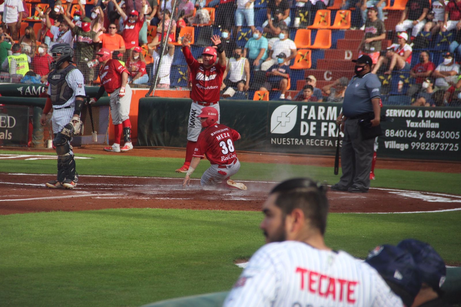 Tigres de Quintana Roo 'sin garra': Pierden serie contra Diablos Rojos