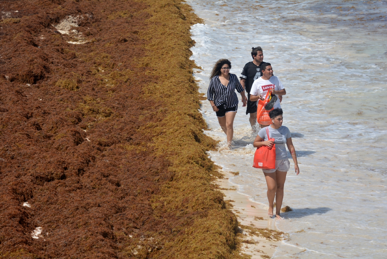 Cancún es el municipio de mayor afectación teniendo siete playas con el nivel de sargazo alto