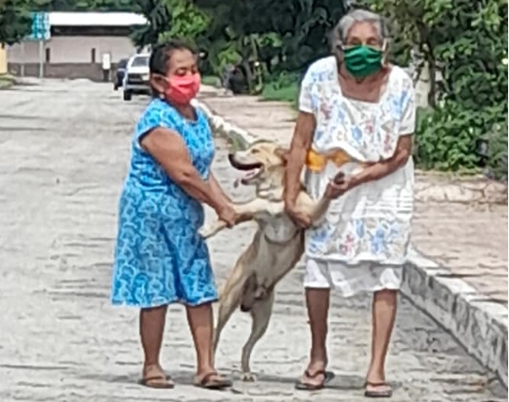 Con un acto de travesura, Firulais trata de escapar pero es detenido por sus dos "carceleras" yucatecas Con un acto de travesura, Firulais trata de escapar pero es detenido por sus dos "carceleras" yucatecas