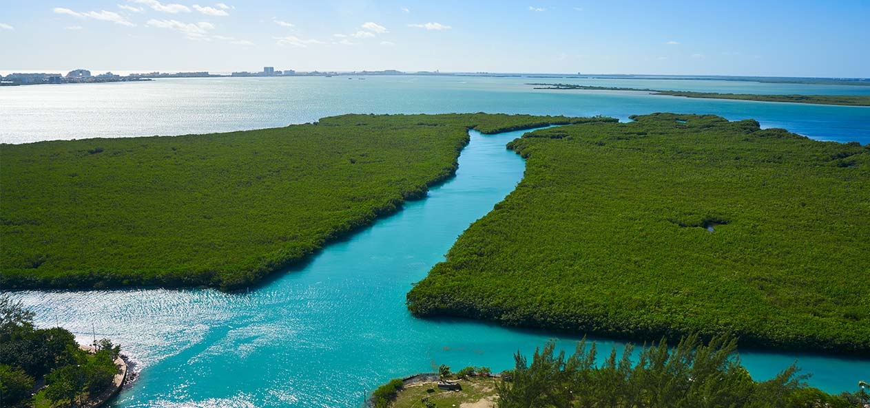 Laguna Nichupté  y su impacto negativo  ambiental por la contaminación