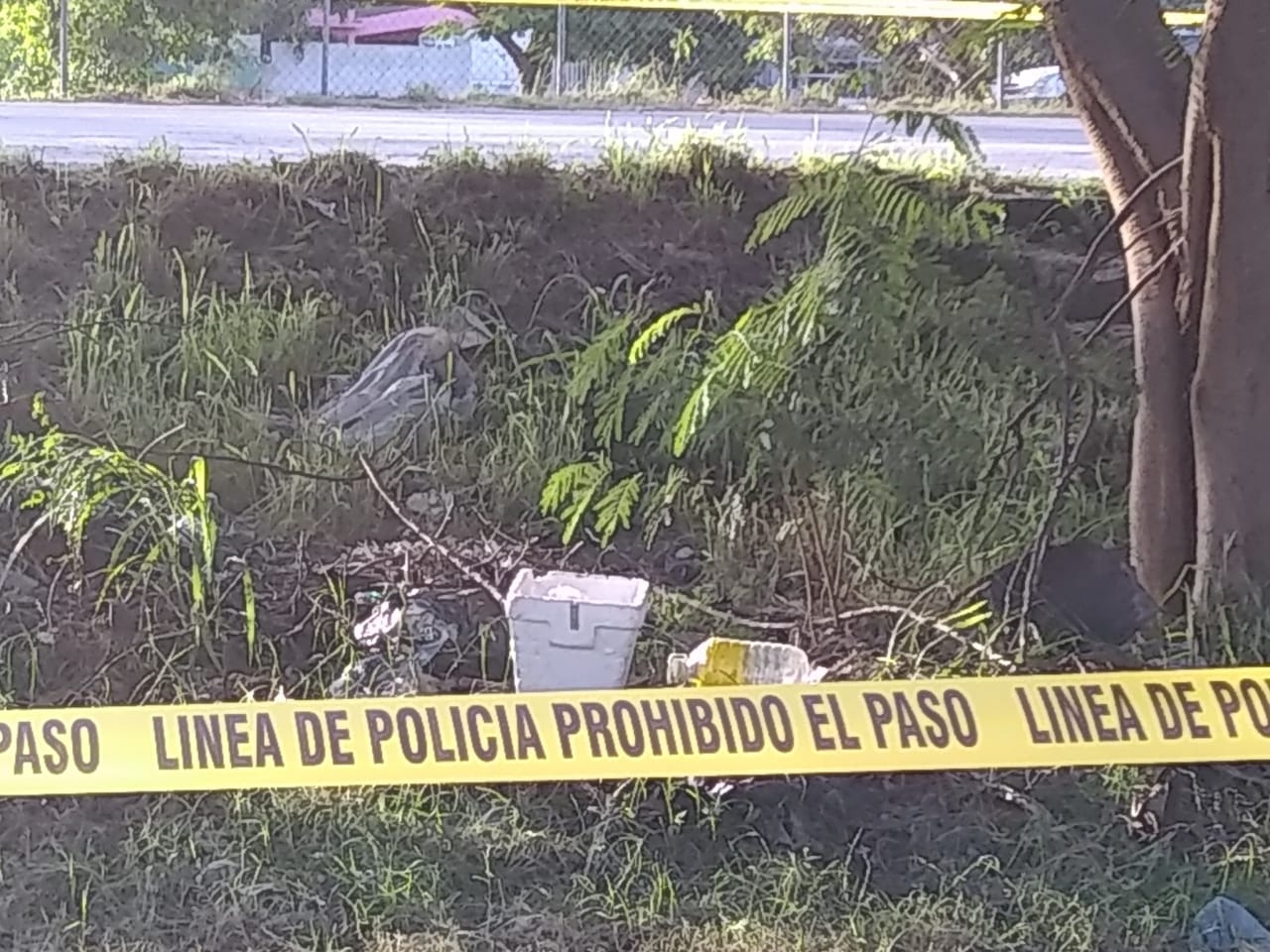 Encuentran nevera con un feto humano dentro Encuentran nevera con un feto humano dentro