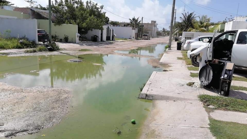 El olor del agua que está en las calles del conjunto habitacional en Mahahual es insoportable para los vecinos