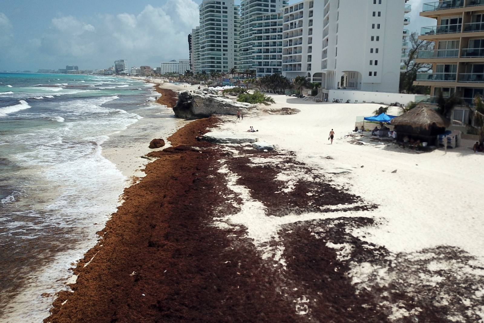 El oleaje y vientos del Potencial Ciclón Uno ayudaron a la reducción de la mancha de sargazo en Quintana Roo El oleaje y vientos del Potencial Ciclón Uno ayudaron a la reducción de la mancha de sargazo en Quintana Roo