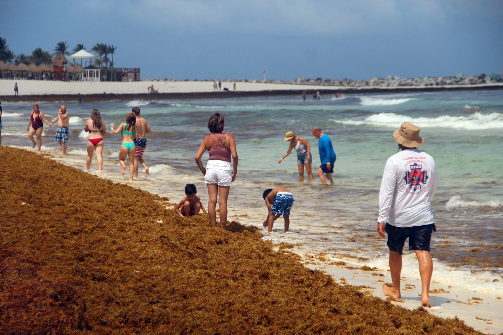 Estas son las playas más limpias de sargazo en Quintana Roo este 01 de junio