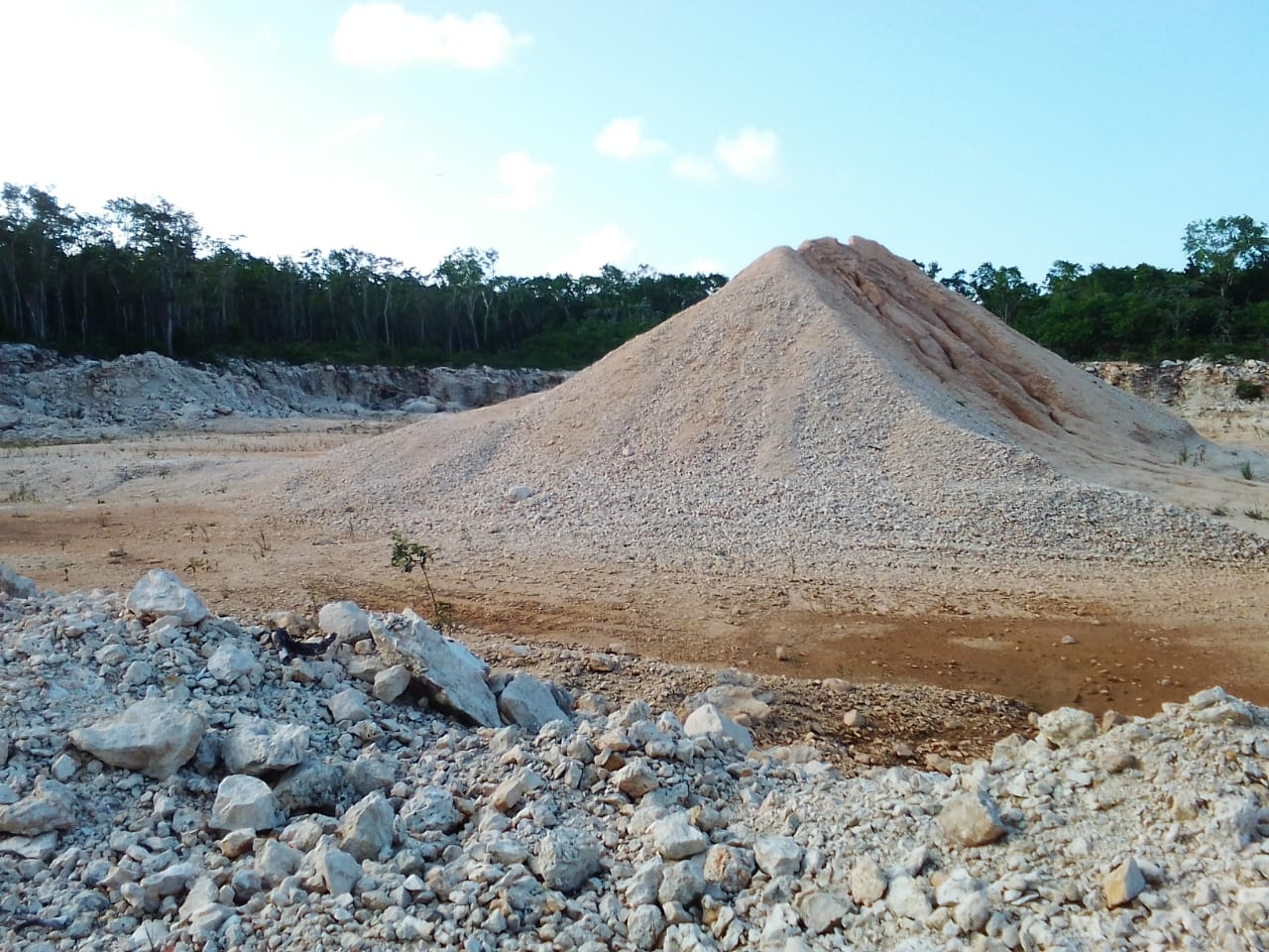 La empresa Agregados y Bloques del Carmen (ABC) ocasionó un ecocidio