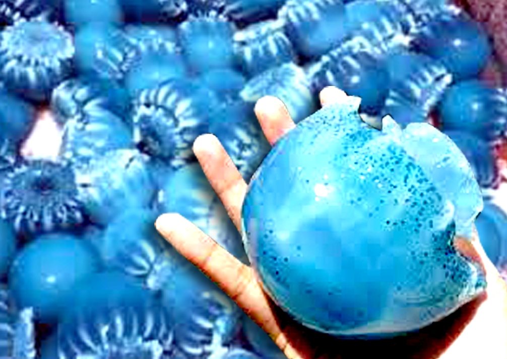 Características de la medusa bola de cañón 
