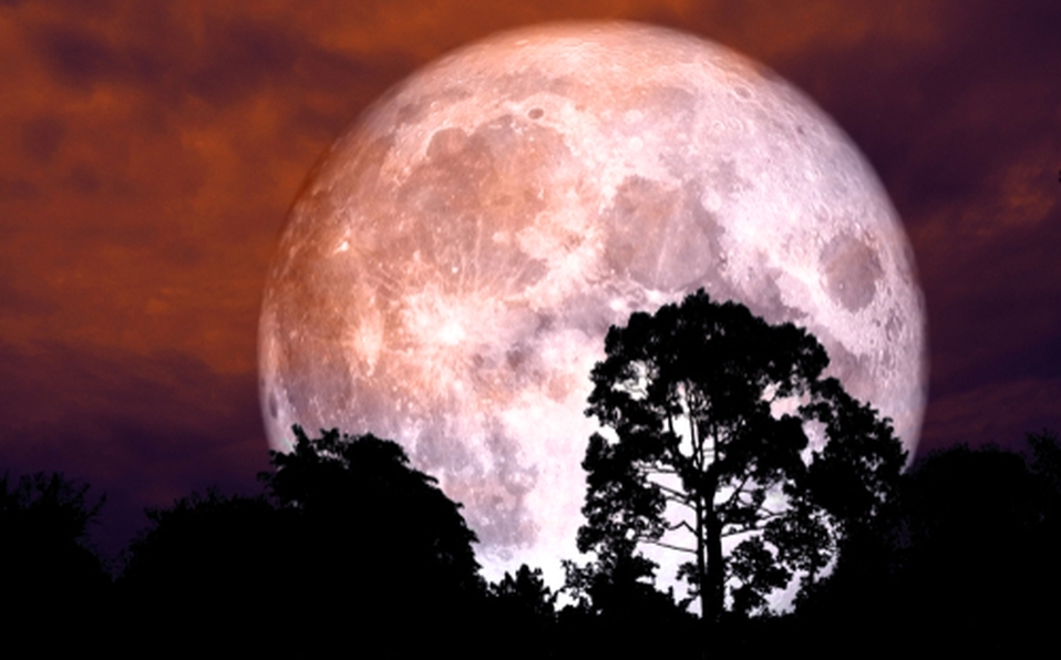 La noche de este jueves 24 de junio y hasta la mañana del día viernes será visible la Luna de fresa La noche de este jueves 24 de junio y hasta la mañana del día viernes será visible la Luna de fresa