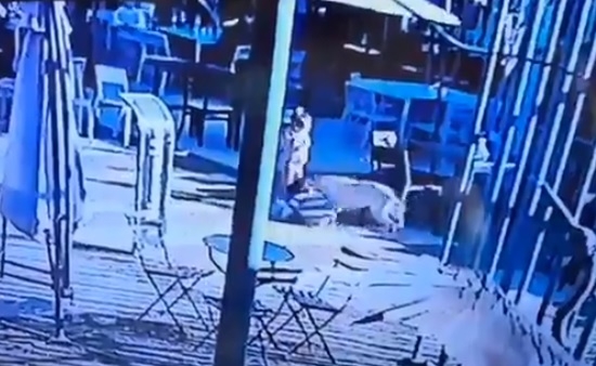 Los hechos se registraron en lo que parece en una zona de food truck