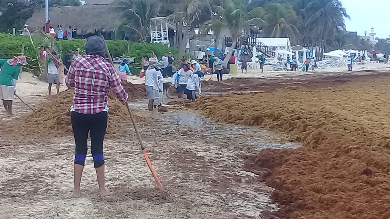 Parejas de turistas se desilusionan al ver que no pueden nadar en el mar