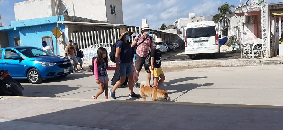 Exigen a las autoridades poner un freno al envenenamiento de perros Exigen a las autoridades poner un freno al envenenamiento de perros