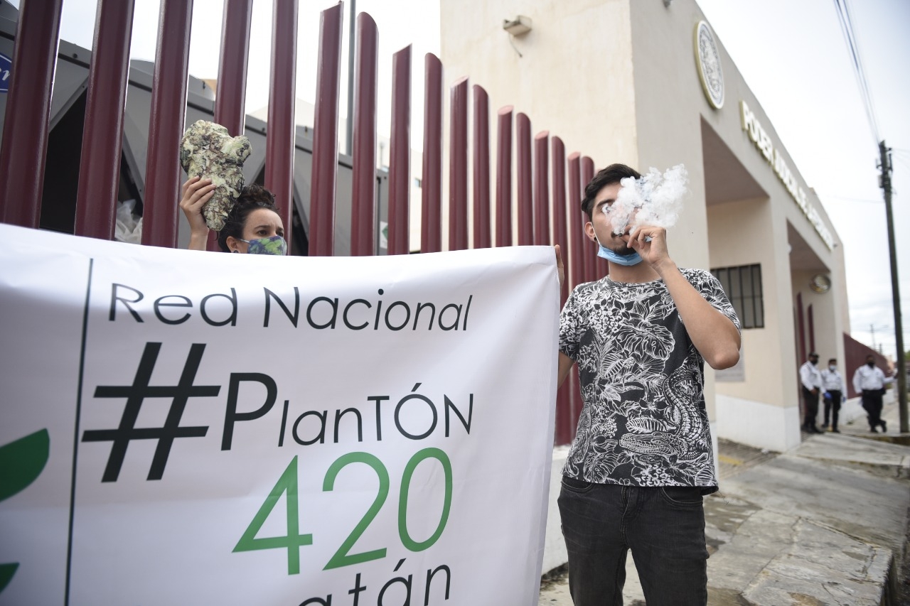 Yucatecos celebran el uso legal de la marihuana Yucatecos celebran el uso legal de la marihuana