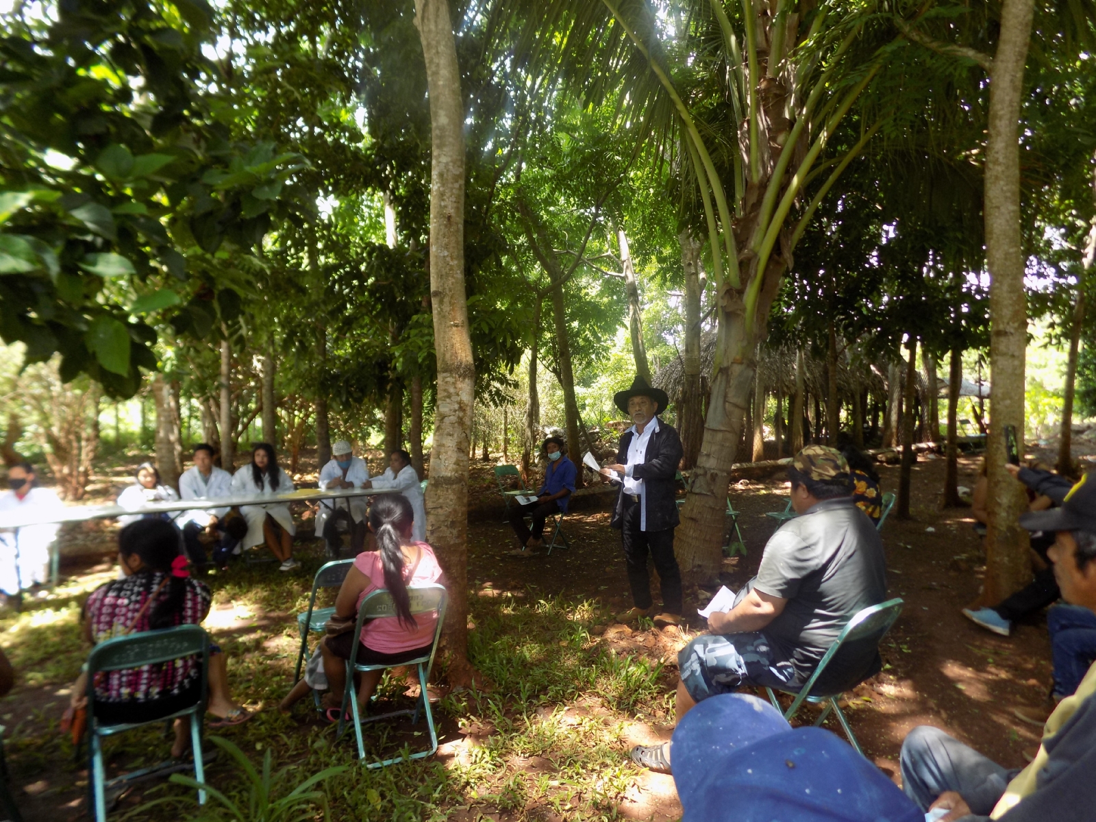 Debido al despojo de las hectáreas podrían perder su cosecha la cual cuenta con 500 plántulas de papaya maradol Debido al despojo de las hectáreas podrían perder su cosecha la cual cuenta con 500 plántulas de papaya maradol