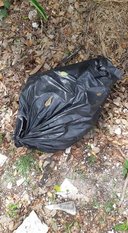 Graban en video el momento justo en el que un individuo arroja bolsas con animales muertos Graban en video el momento justo en el que un individuo arroja bolsas con animales muertos