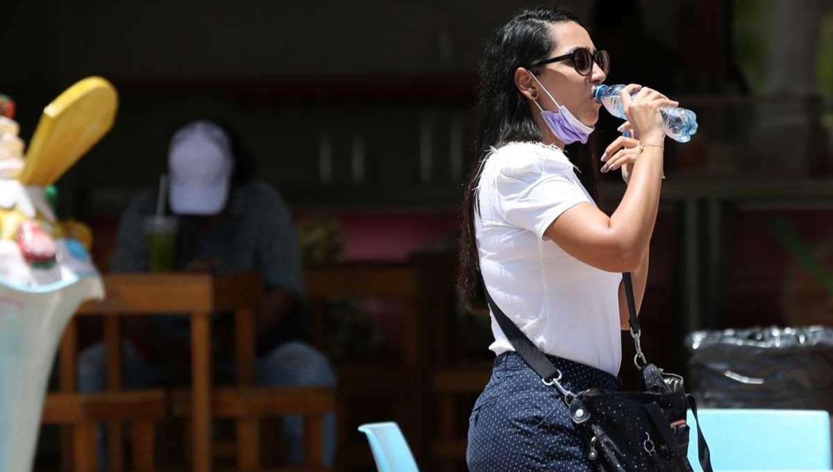 Este fenómeno se presenta entre el 15 y 20 de julio y termina aproximadamente a mediados de agosto. Foto: Cuartoscuro