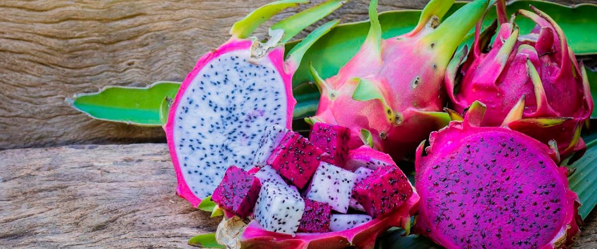 La pitahaya es un fruto que además de contener muchas características que son benéficas para la salud, es una fuente refrescante para los días de calor La pitahaya es un fruto que además de contener muchas características que son benéficas para la salud, es una fuente refrescante para los días de calor