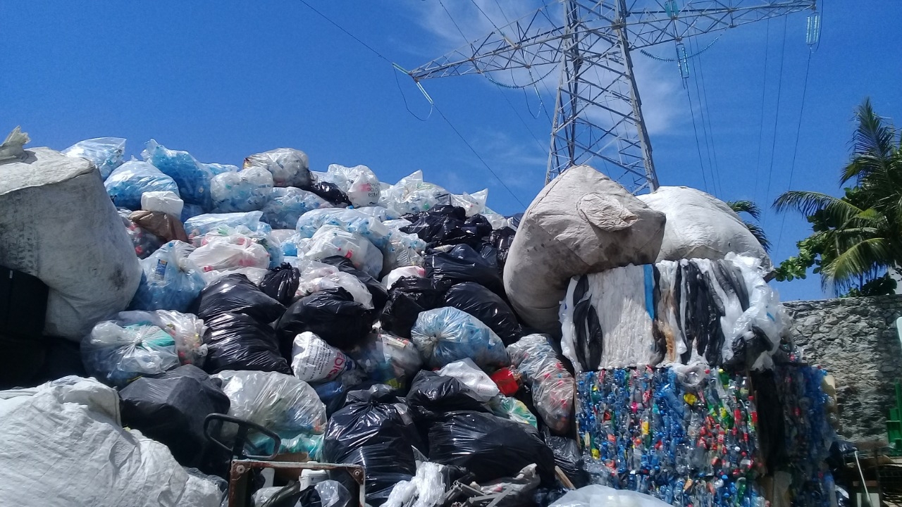 Falta crear conciencia ecológica en Playa del Carmen. Falta crear conciencia ecológica en Playa del Carmen.