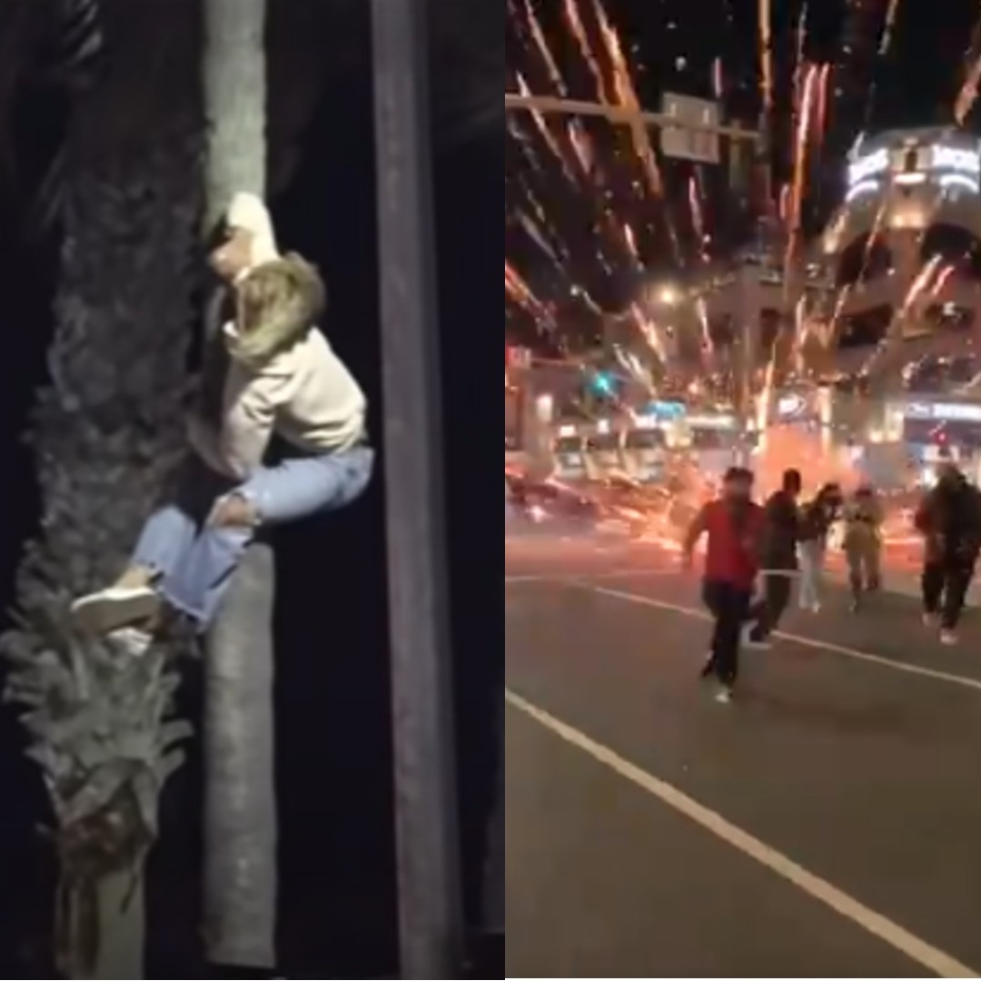 La fiesta se hizo viral y no pensaron que todo terminaría en un 'Proyecto X', fuegos artificiales y hasta policías disparando. La fiesta se hizo viral y no pensaron que todo terminaría en un 'Proyecto X', fuegos artificiales y hasta policías disparando.