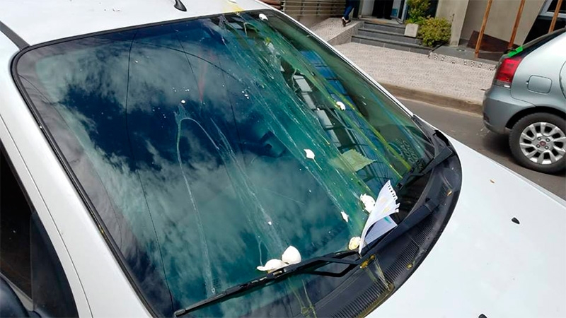 Por ahora no hay ninguna denuncia formal de alguna víctima que haya sufrido de esta situación en la Ciudad de México