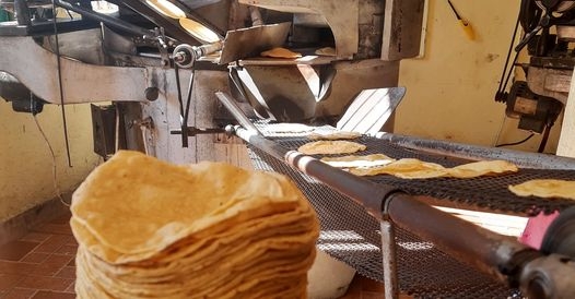 Tortillerías en la cabecera del municipio aseguraron tratar de mantener el precio lo más posible
