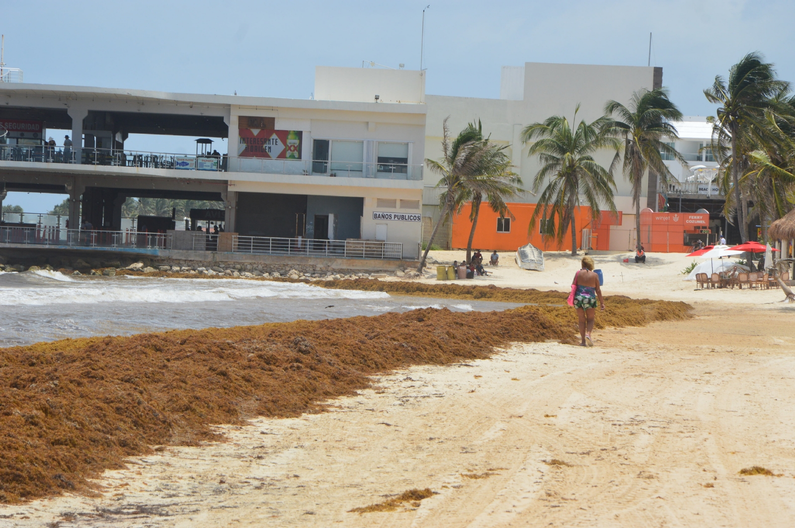 Los turistas busca playas libres del recale del sargazo; las barreras antisargazo no se han colocado en tres municipios de Quintana Roo
